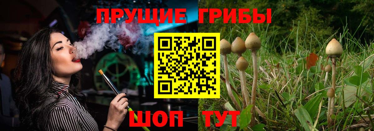Галлюциногенные грибы Биробиджан