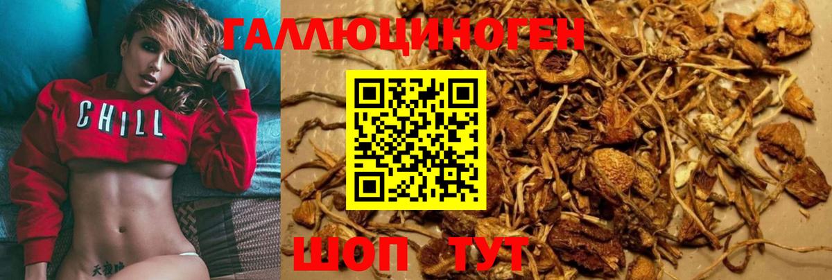 Галлюциногенные грибы прущие грибы Биробиджан