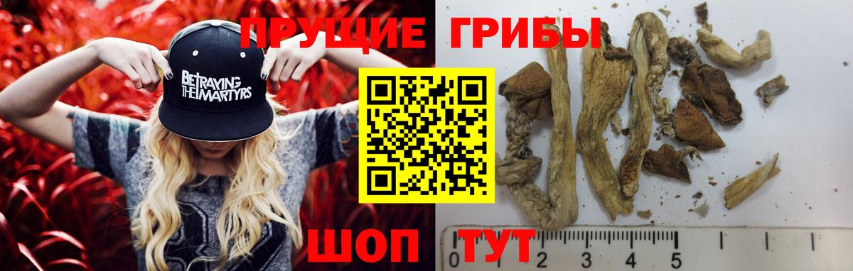 Биробиджан  Галлюциногенные грибы мицелий  Вход с VPN  Псилоцибиновые грибы ЛСД 